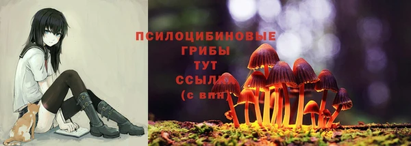 герыч Переславль-Залесский