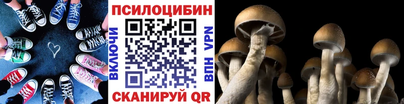 Псилоцибиновые грибы Psilocybine cubensis Купить где Джанкой